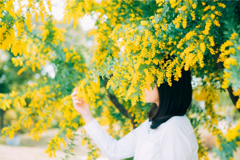 カウンセリング・スペース・セピア